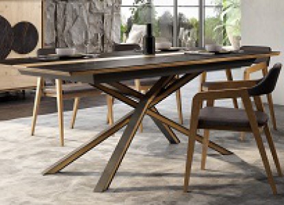 Table de repas pied central 1 allonge